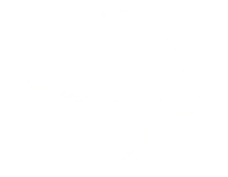 SpaceSegurity Bot Logo